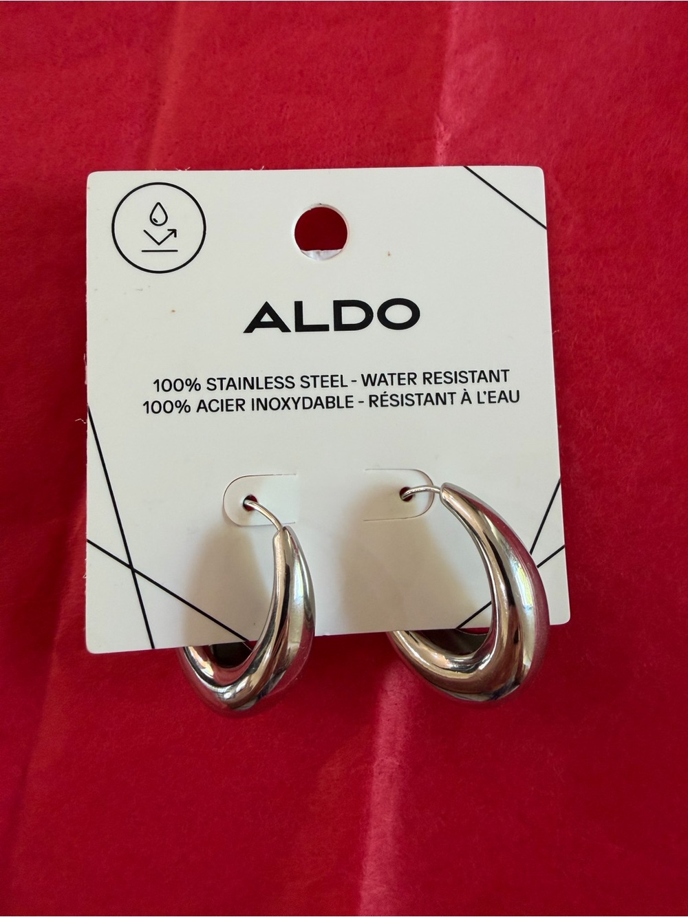 ALDO Silver Twisted Hoop Earrings